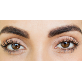 Eye and Eyelashes 